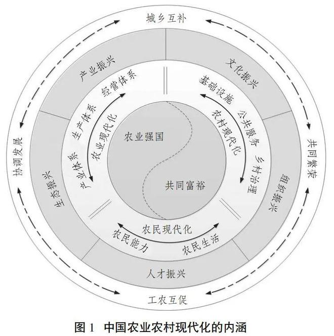 中国农业农村现代化：生成逻辑、内涵特征与推进方略